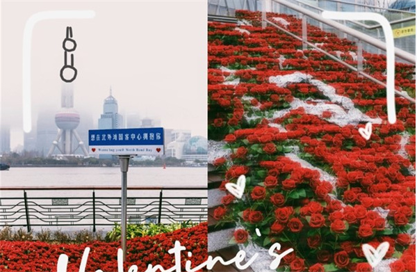 杭州地鐵口驚現玫瑰瀑布 吸引無數人拍照